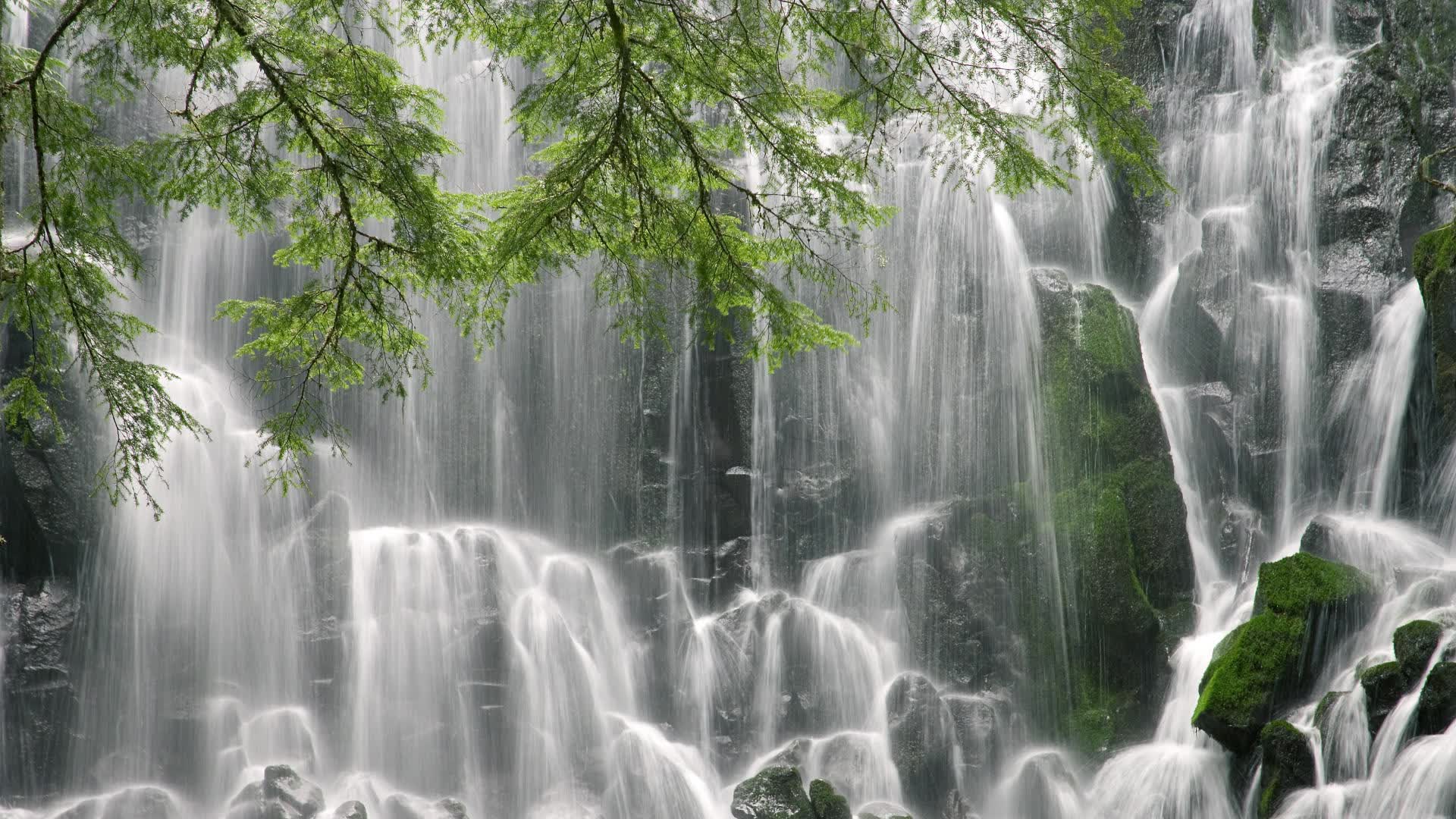 世界游泳全国青少年积分赛优秀学员表彰通告，世界青年游泳锦标赛历届冠军